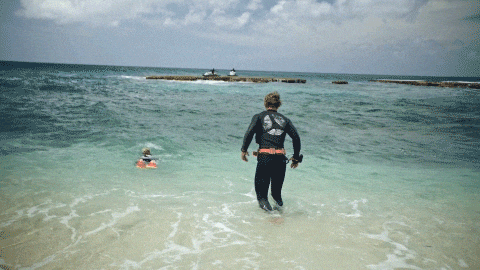 Diving GIF by FOX TV