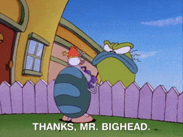 Rockos Modern Life Nicksplat GIF by NickRewind