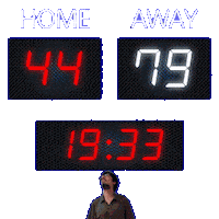 44 Home Sticker