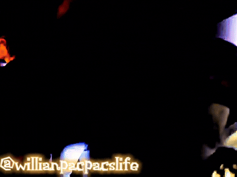 Willianpacpacslife GIF