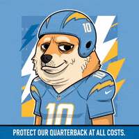 Shiba Inu Football GIF by Doge Pound