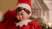 Shocked Elf On A Shelf GIF by DrSquatch