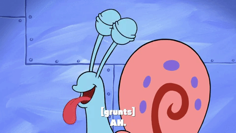 season 9 gary's new toy GIF by SpongeBob SquarePants