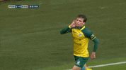 GIF by FOX Sports
