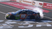 kyle busch win GIF by NASCAR