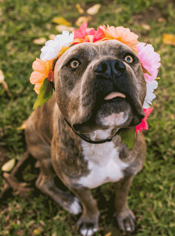 jennspain giphyupload GIF