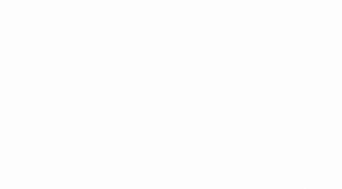 GAMMA_INCOME giphyupload GIF