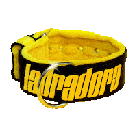 Women Power Girl Sticker by Ladradora