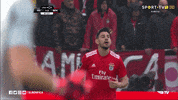 sl benfica smile GIF by Sport Lisboa e Benfica
