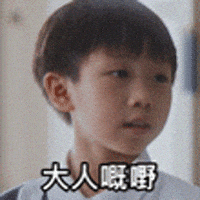 Tiger Mirror GIF by ViuTV