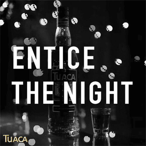Tuaca giphyupload party celebrate drink GIF