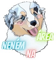 Zucchero Australianshepherd Sticker
