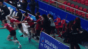 Happy Joy GIF by Volleyball World
