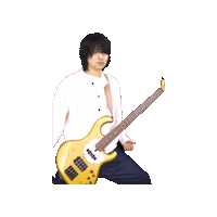 meastwald music guitar bass ukulele Sticker