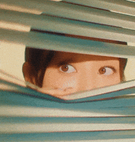 Eyes Wink GIF