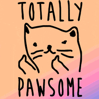 GIF by Look Human