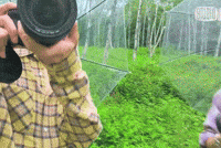 Ateez Mingiateez GIF