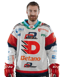 Hockey Czech Sticker by HC Dynamo Pardubice