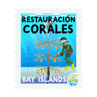 Coral Reef Dive Sticker by BICA