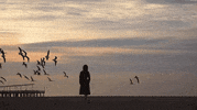 Night Reaction GIF by TikiIndia