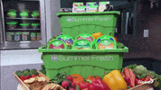 Big Brother Canada Summer Fresh GIF by Global TV