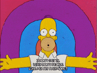 homer simpson GIF