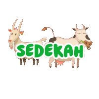Qurban Sticker by Afrakids