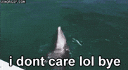 Let It Go Lol GIF