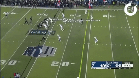 SchaufDS giphygifmaker GIF