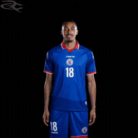 Fifa World Cup Haiti GIF by Respective