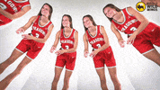 Msumwbb GIF by MSUM Dragons