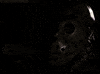 jason voorhees GIF