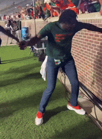 Belt Bta GIF