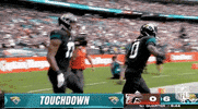 National Football League GIF by NFL