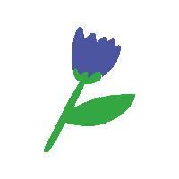 Sallustropy gapparaguay Sticker