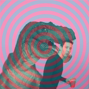 GIF by Monocle Booth