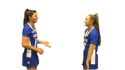 College Sports Love Sticker by Delaware Blue Hens
