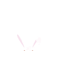 Afcc Sticker by Advanced Fertility Center Cancun