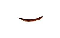 kelloggs_rus krave kravechoco kravebreakfast kravewinter Sticker