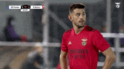 Sl Benfica Yes GIF by Sport Lisboa e Benfica