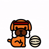 Lets Play Sport GIF