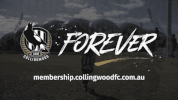 family fan GIF by CollingwoodFC