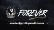 magpies GIF by CollingwoodFC