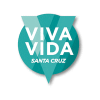 Santacruz Sticker by direcionalvendas