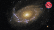 Eye Swimming GIF by ESA/Hubble Space Telescope