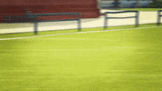 AngeloRules fun peter mdr pierre GIF