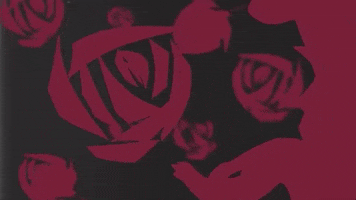 blooming british invasion GIF by The Zombies