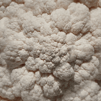 Viral Video Wtf GIF by Feliks Tomasz Konczakowski
