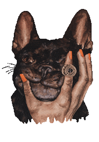 paveeeel dog hand france shine Sticker