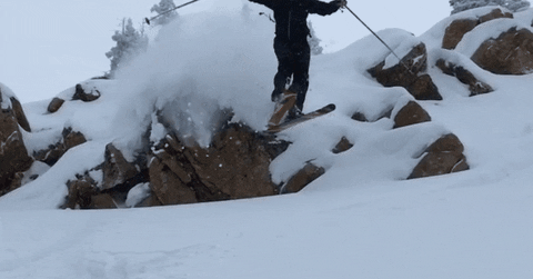 Dzak giphyupload snow ski skiing GIF